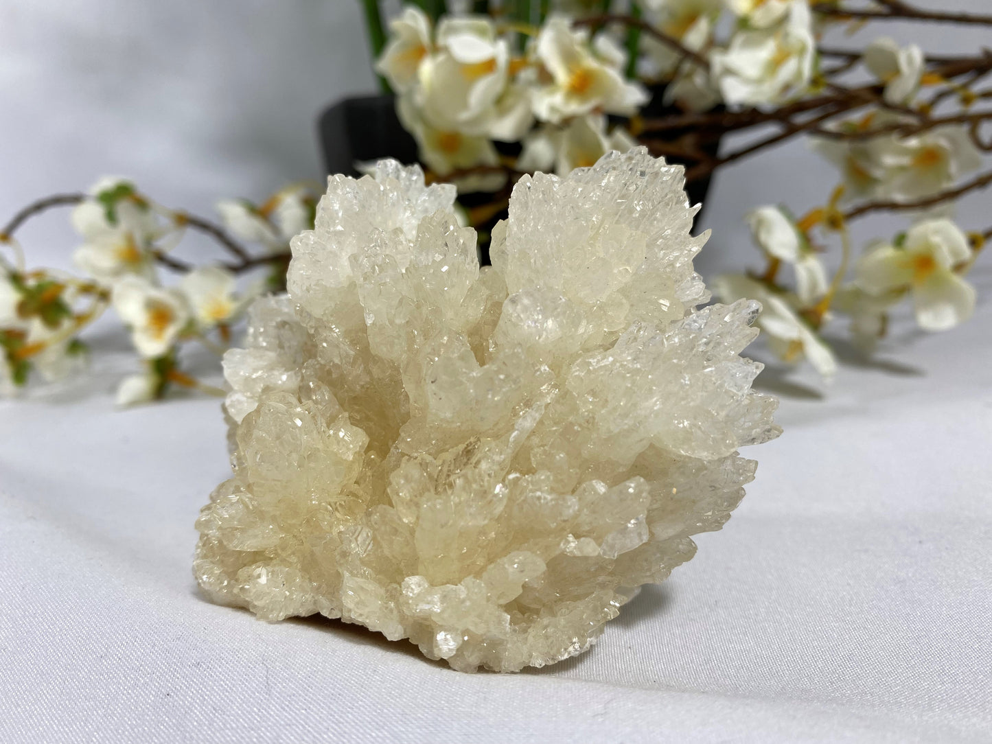 Aragonite Cluster