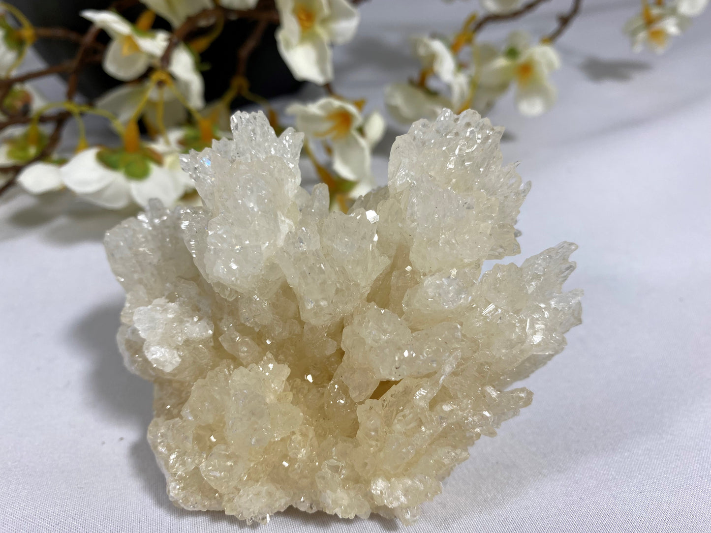 Aragonite Cluster