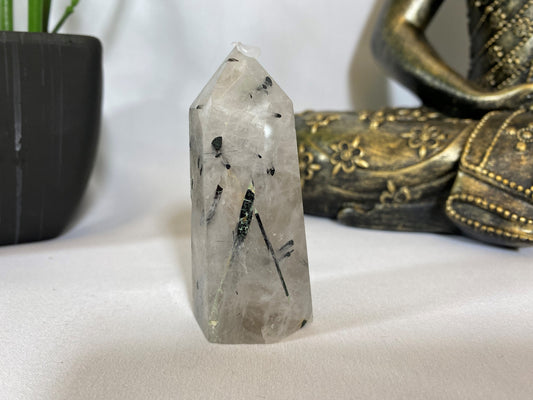 Black Tourmaline in Quartz Tower