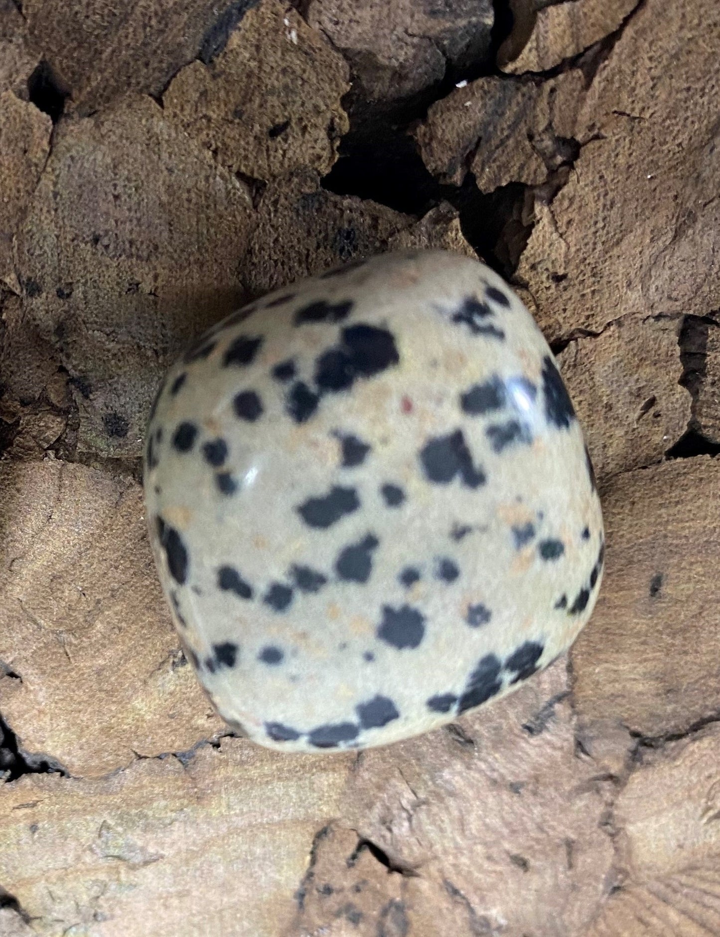 Dalmation Jasper Cubes