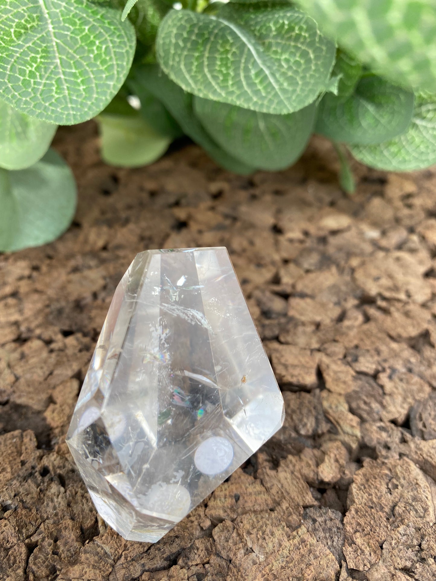 Clear Quartz Freeform