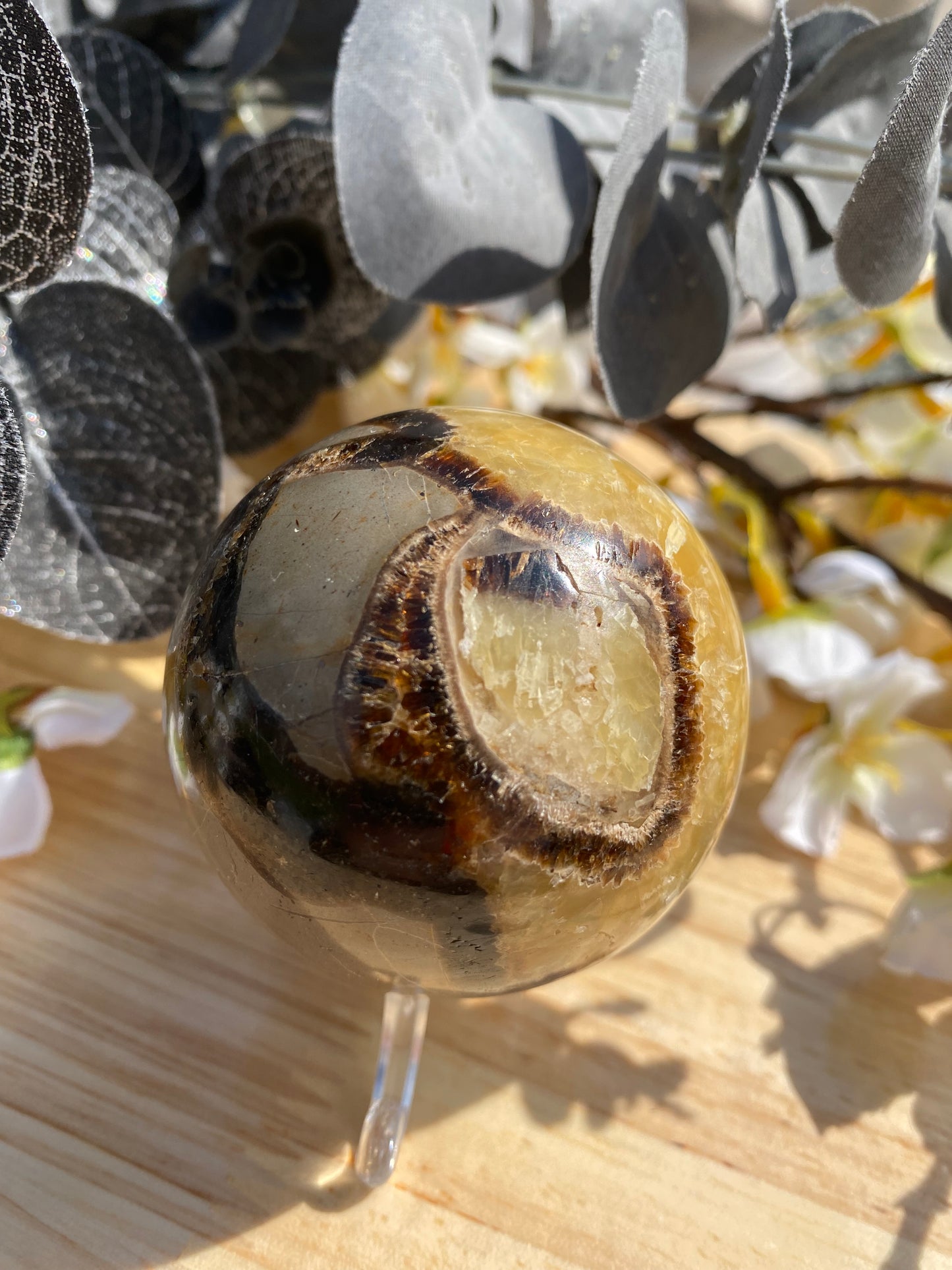 Septarian Sphere