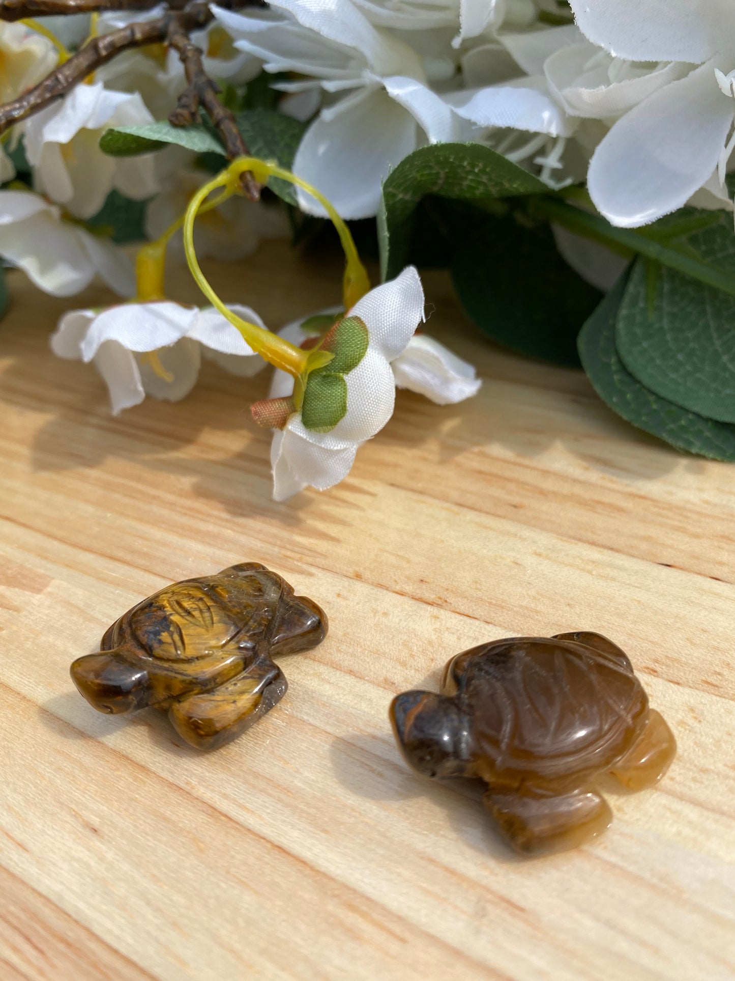 Mini Turtles