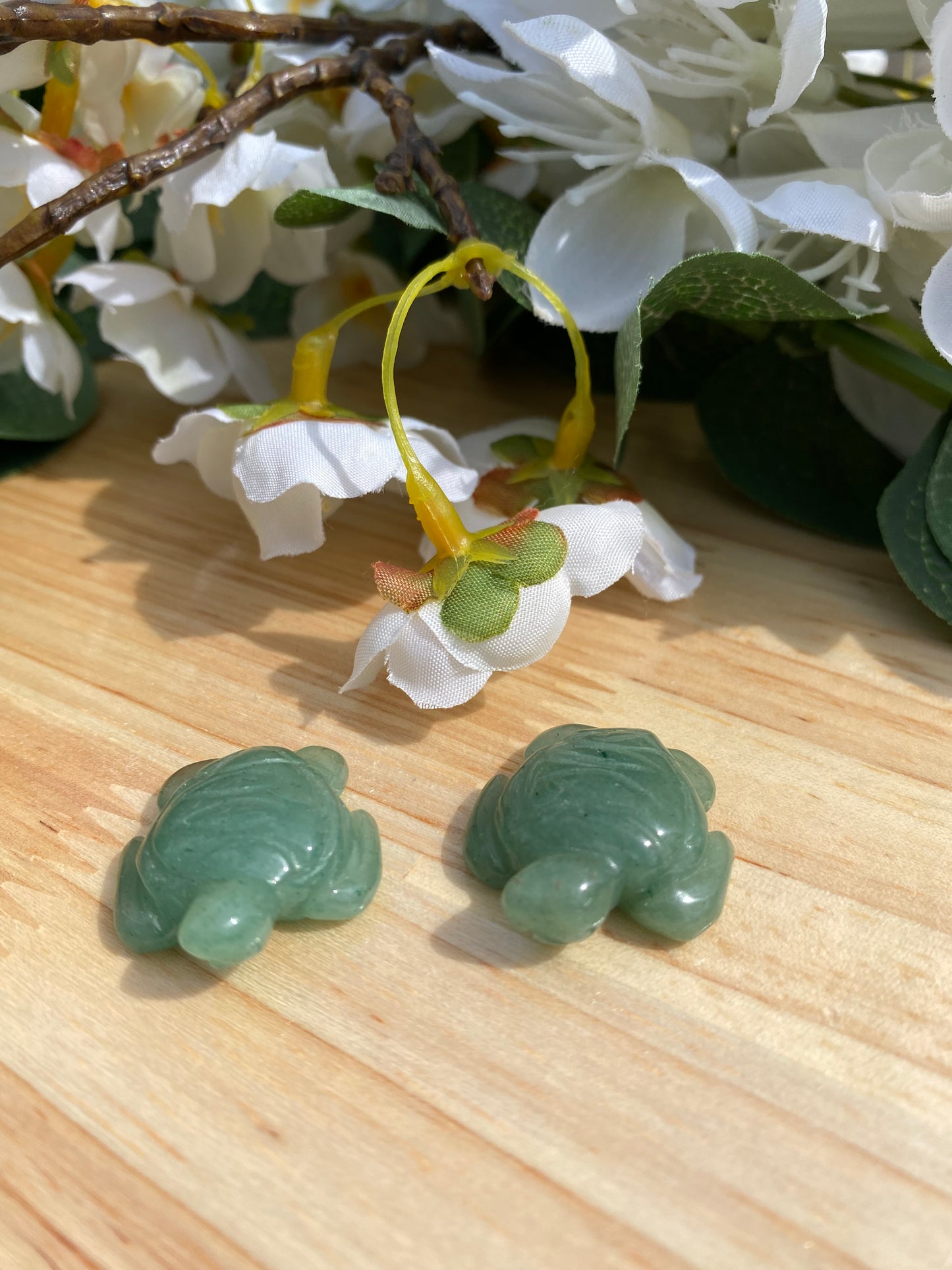 Mini Turtles