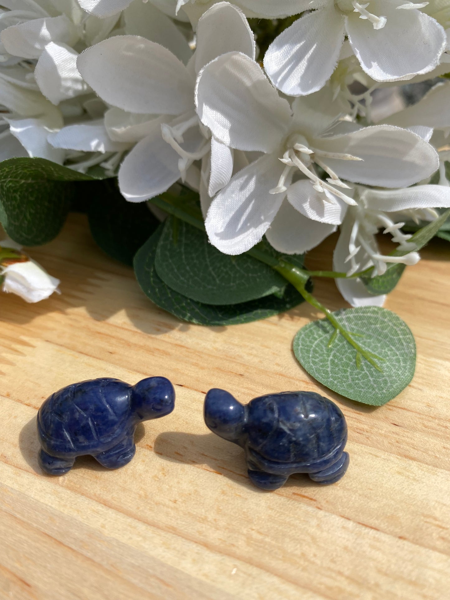 Mini Turtles