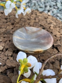 Ocean Jasper Bowl