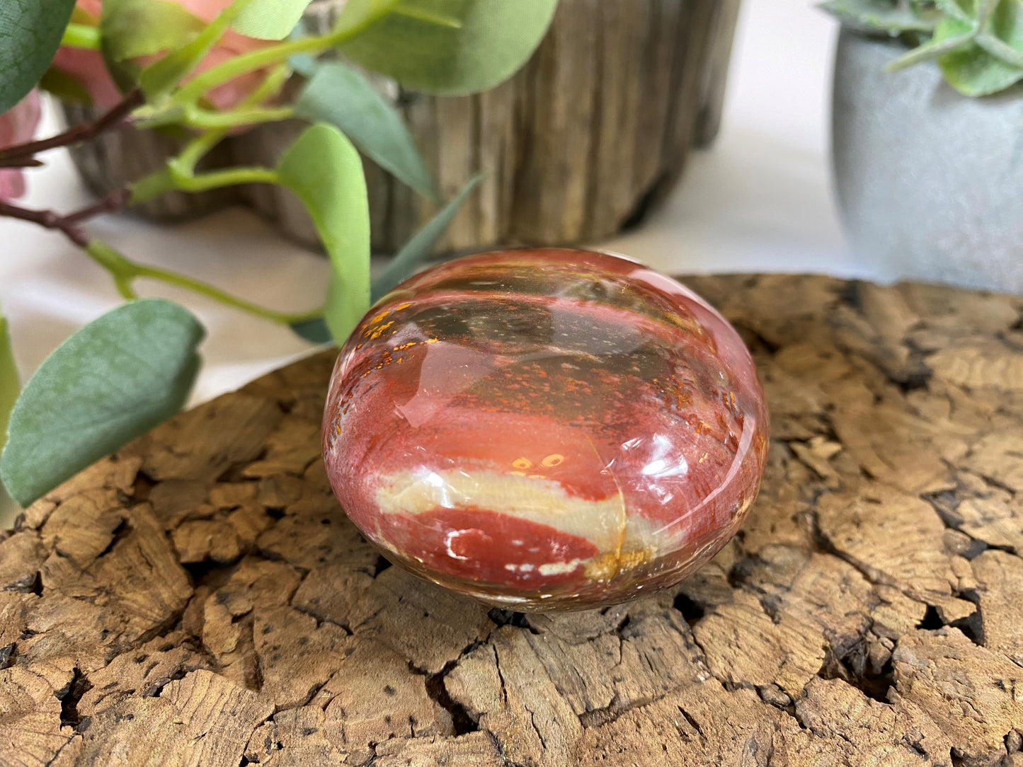 Petrified Wood Palmstone