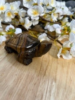 Tiger's Eye Tortoise